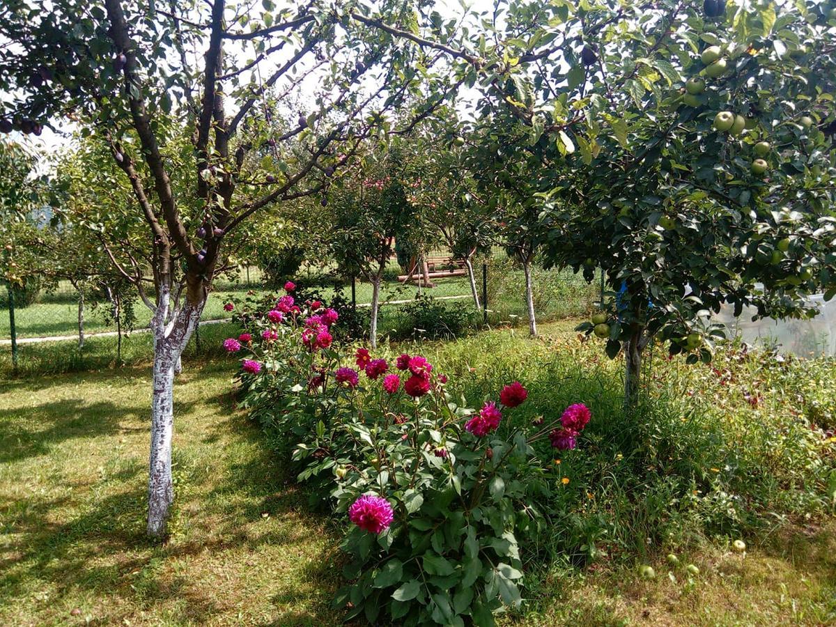 Sunny Paradise Bihać Exteriör bild